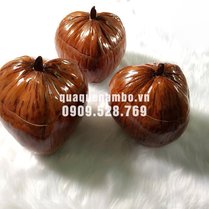 Bình giữ nhiệt trái dừa