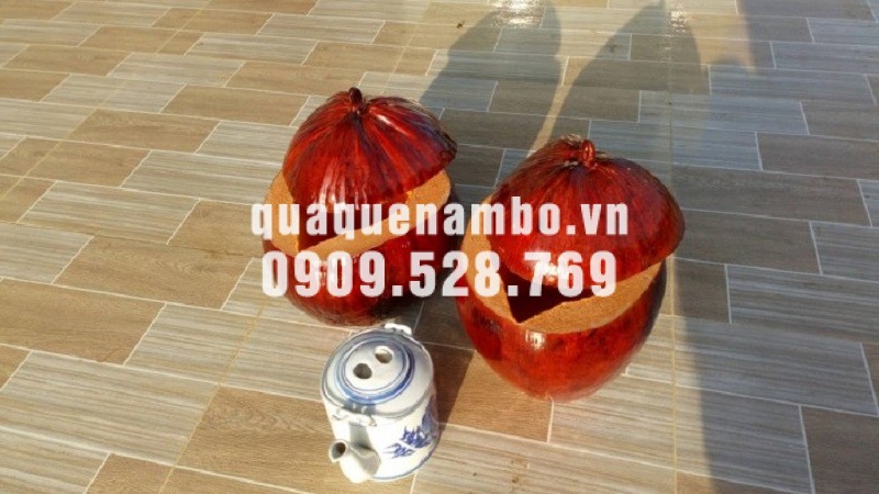 Bình giữ nhiệt trái dừa