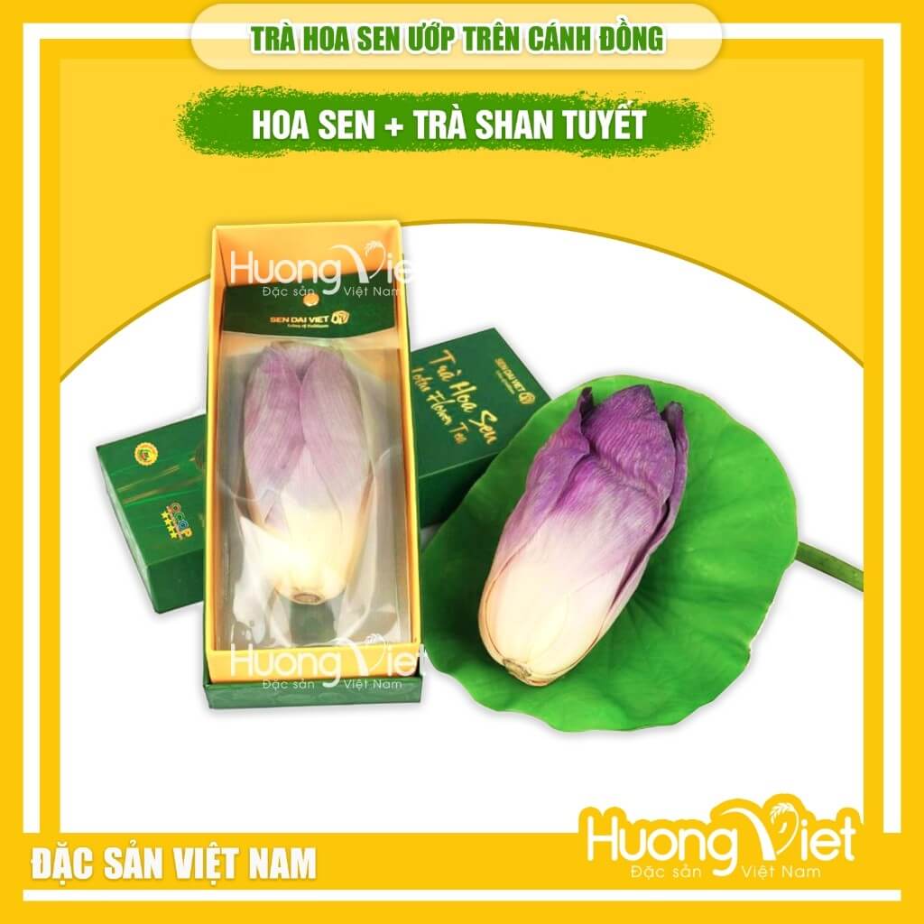 Trà Hoa Sen Cao Cấp ướp trên cánh đồng